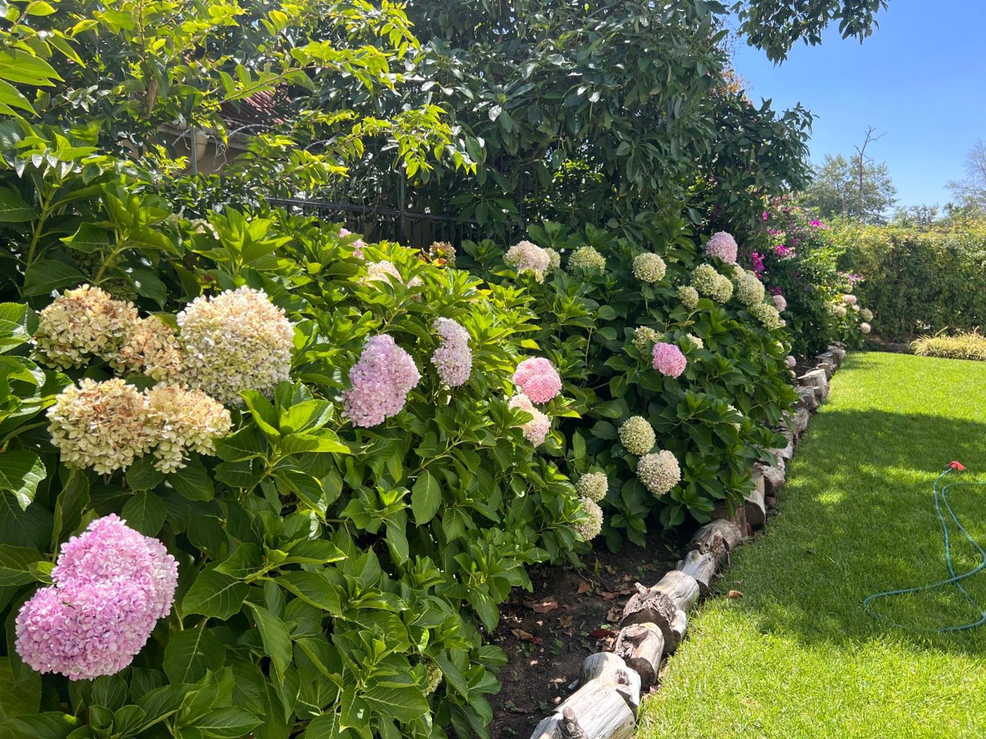 Luxery Gem In Stellenbosch 아파트 외부 사진